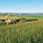 Krone ZX430GL kombilessevogn for grønnforhøsting