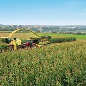 Krone ZX430GL