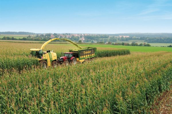 Krone ZX430GL kombilessevogn for grønnforhøsting